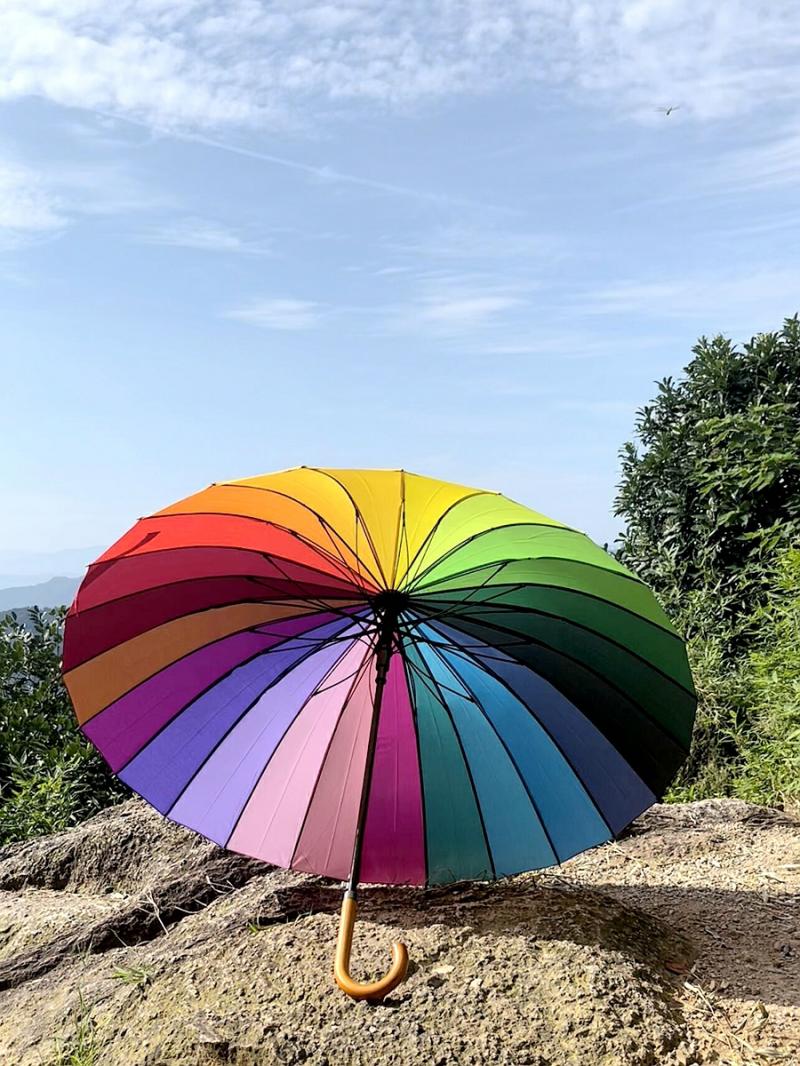 Parapluie Et Équipement De Pluie  | Parapluie Arc-En-Ciel Automatique Pour Hommes Et Femmes, 24 Baleines, Résistant Au Vent, Parapluie Double Pour Deux Personnes (Pour Une Forte Pluie, Veuillez Acheter Un Modèle À Double Couche) Parapluie Et Équipement De Pluie Parapluie Et Équipement De Pluie